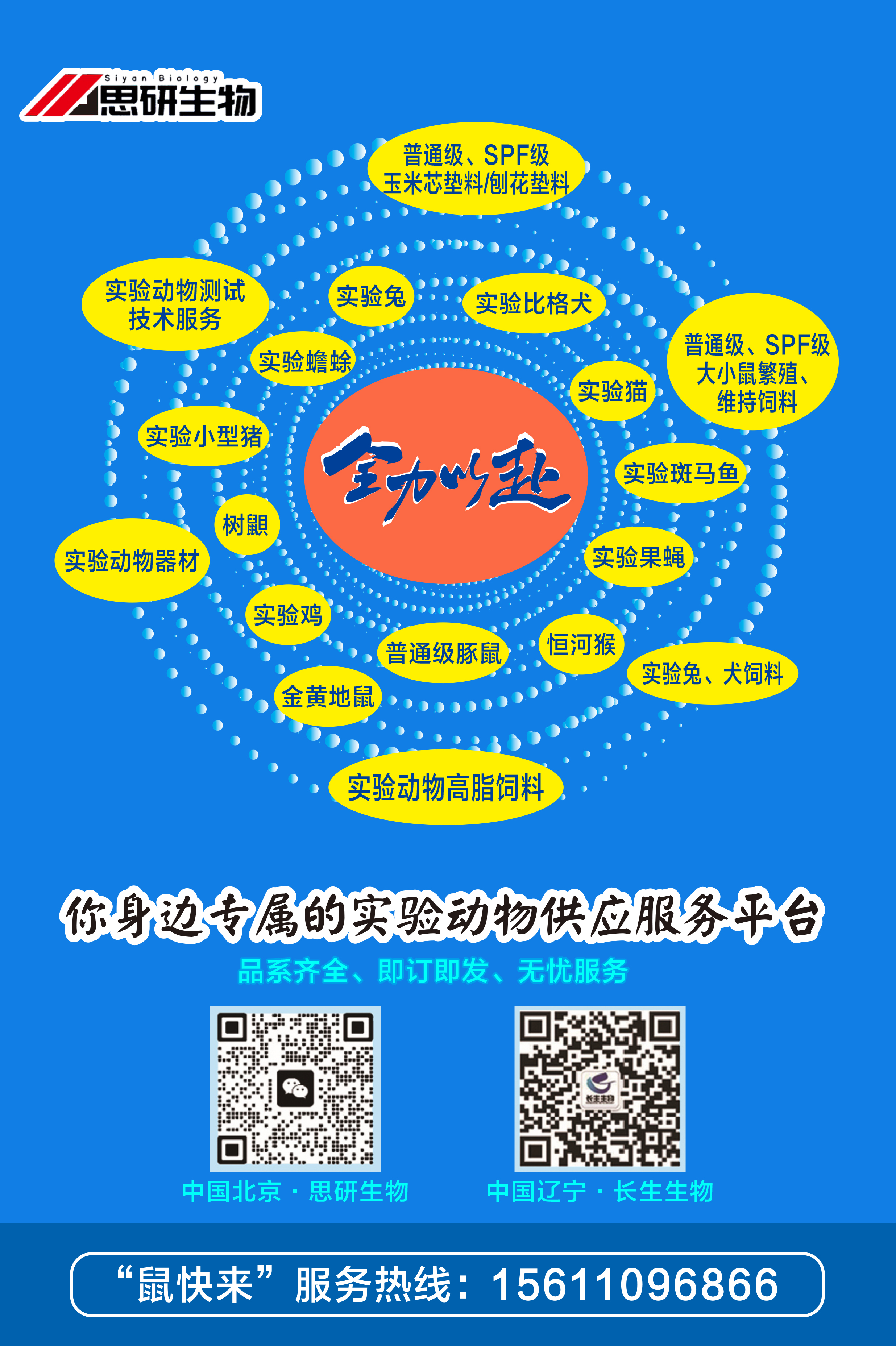 全力以赴.jpg