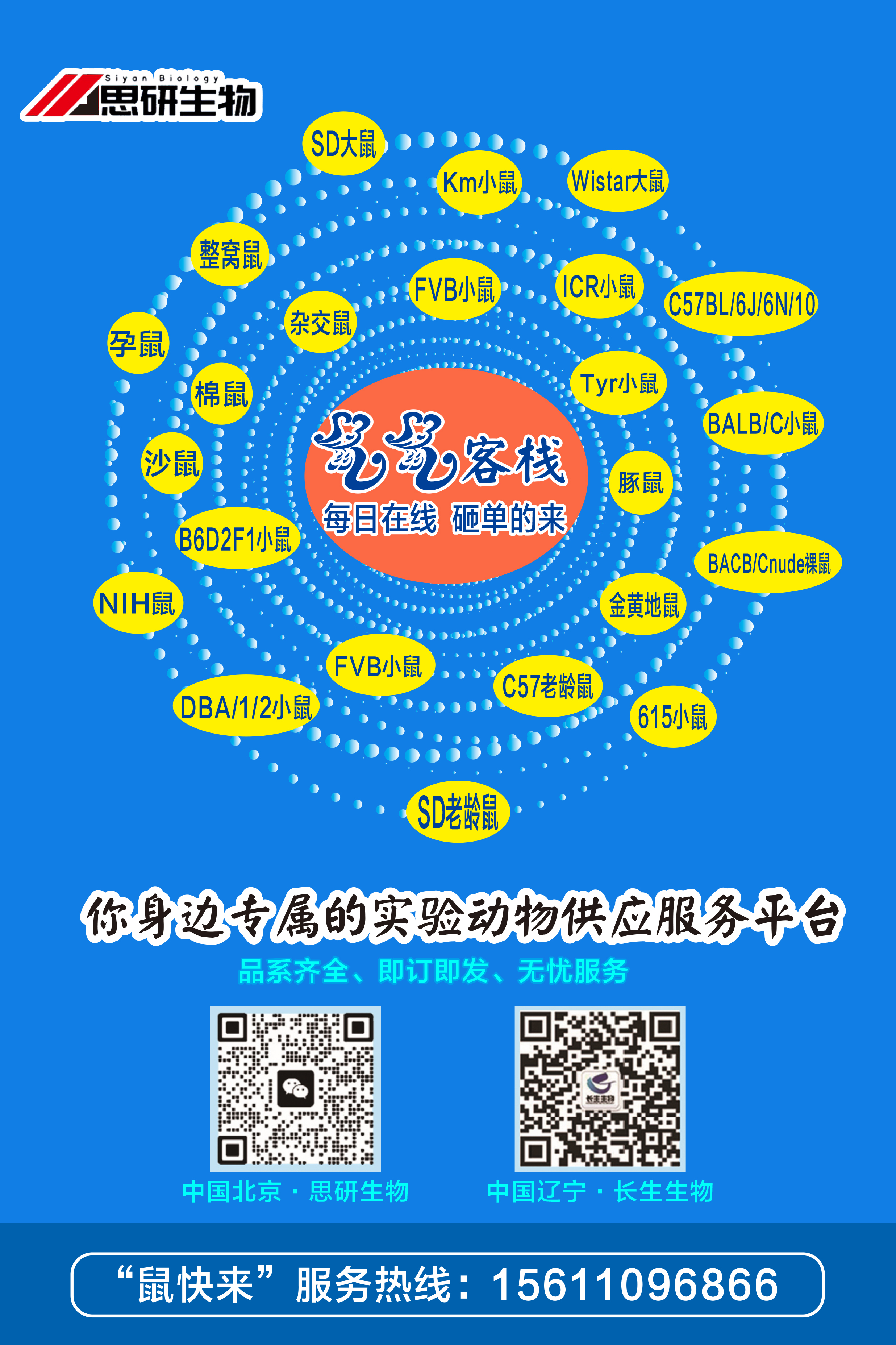 鼠鼠客栈.jpg